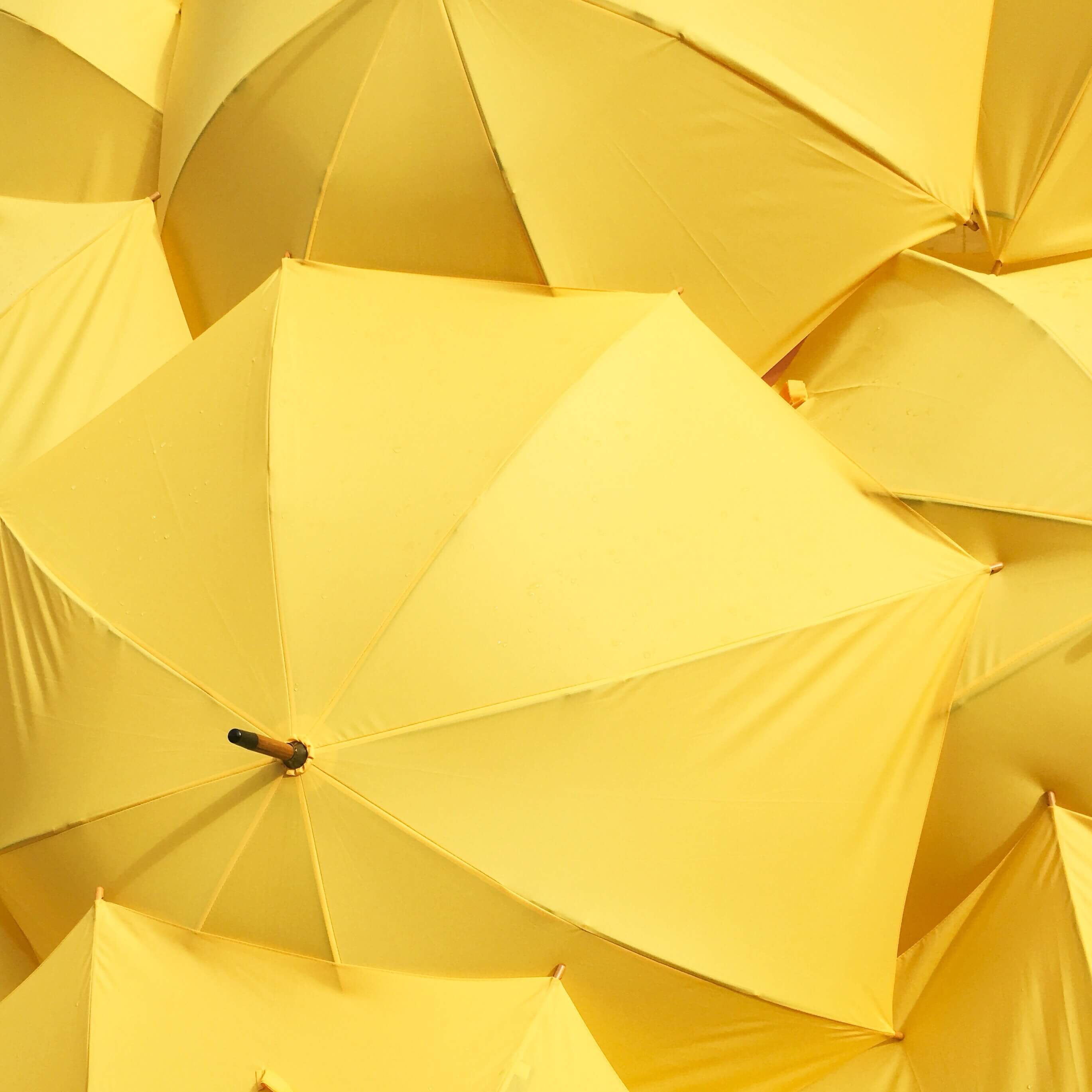A close-up overhead shot of multiple yellow umbrellas layered together — used to illustrate a Sheldon Social article on content strategy and strategic visibility for founders and brands.