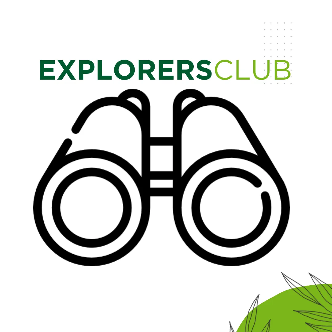 A single person, mid-30s, sitting on a park bench at sunrise, journaling and reflecting, with a gentle smile, surrounded by soft greenery, symbolizing personal growth and contemplation before quitting smoking.