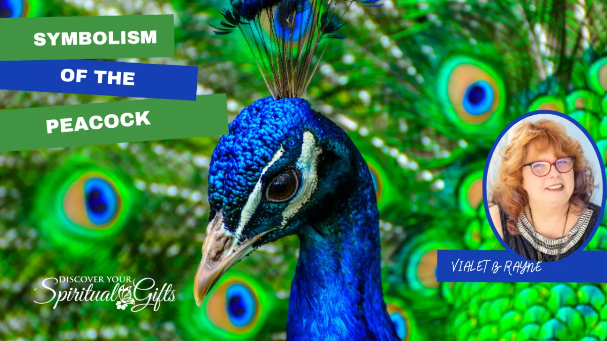 Symbolism of Peacock