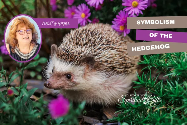 The Symbolism of the Hedgehog