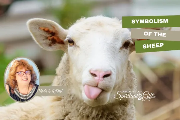 Spirit Animal Sheep Meaning: Peace, Trust, and Spiritual Guidance