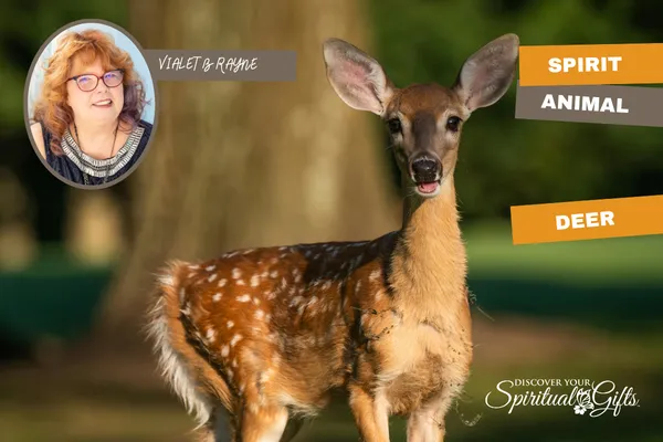 Spirit Animal Deer Meaning: Intuition, Gentleness, and Heart Wisdom