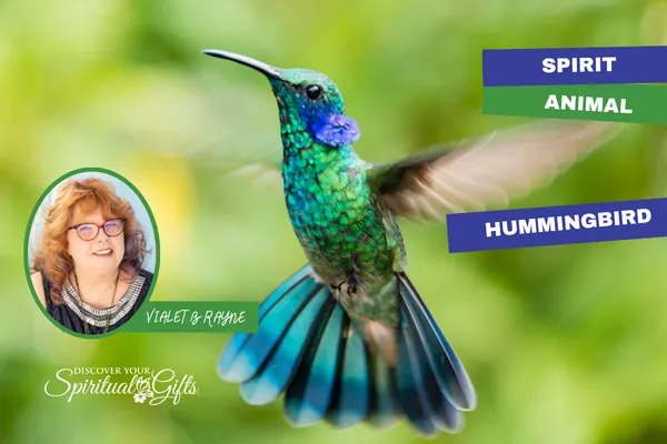 Hummingbird Spirit Animal: Joy, Lightness & Creative Energy
