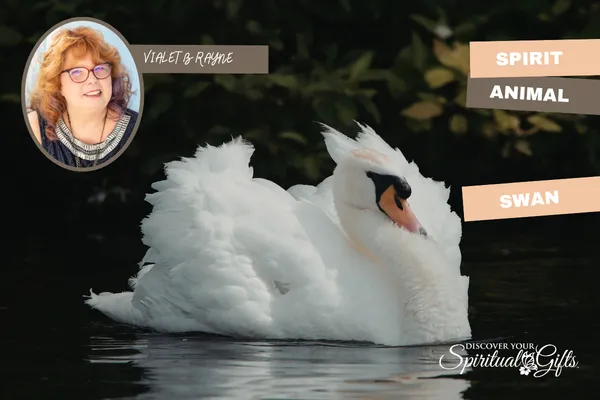 Swan Spirit Animal: Grace, Transformation & the Beauty of Becoming