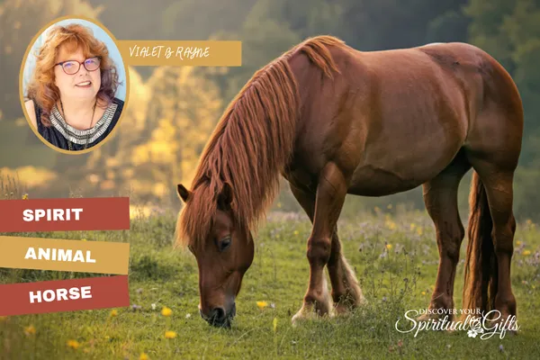 Horse Spirit Animal: Freedom, Power & Forward Movement