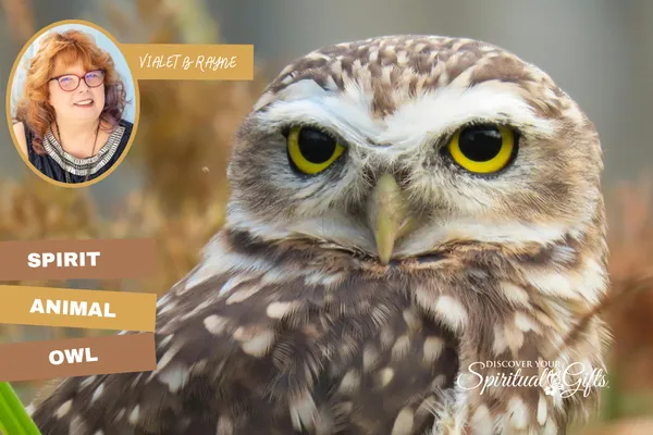 Owl Spirit Animal: Intuition, Insight & Seeing Beyond Illusion