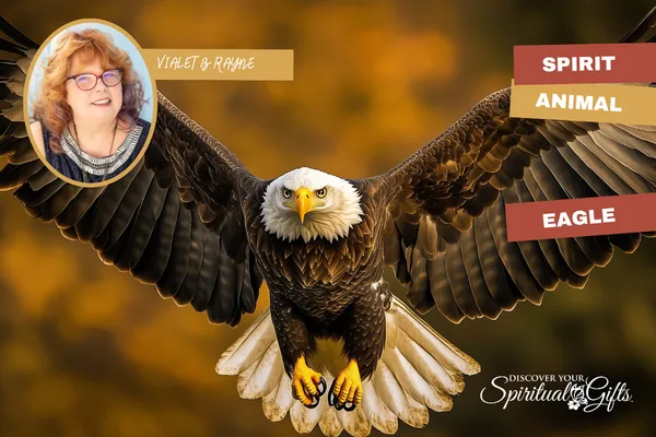 Eagle Spirit Animal: Vision, Expansion & Higher Perspective