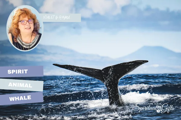 Whale Spirit Animal: Deep Wisdom, Intuition & Emotional Expansion