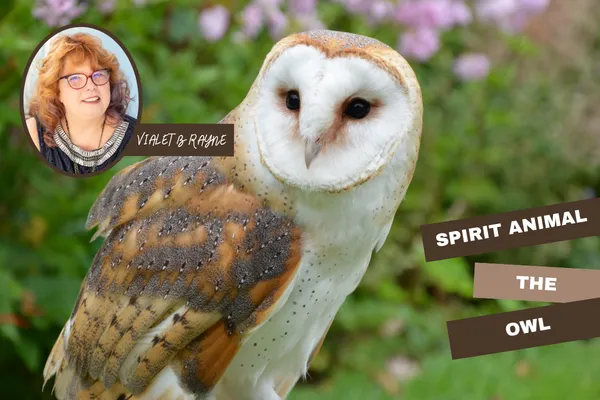 Spirit Animal Owl: Intuition, Mystery & Seeing Beyond Illusion