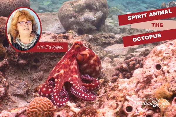 Spirit Animal Octopus: Intelligence, Adaptability & Emotional Wisdom