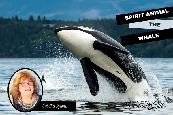 Spirit Animal Whale: Ancient Wisdom, Emotional Depth & Sacred Song
