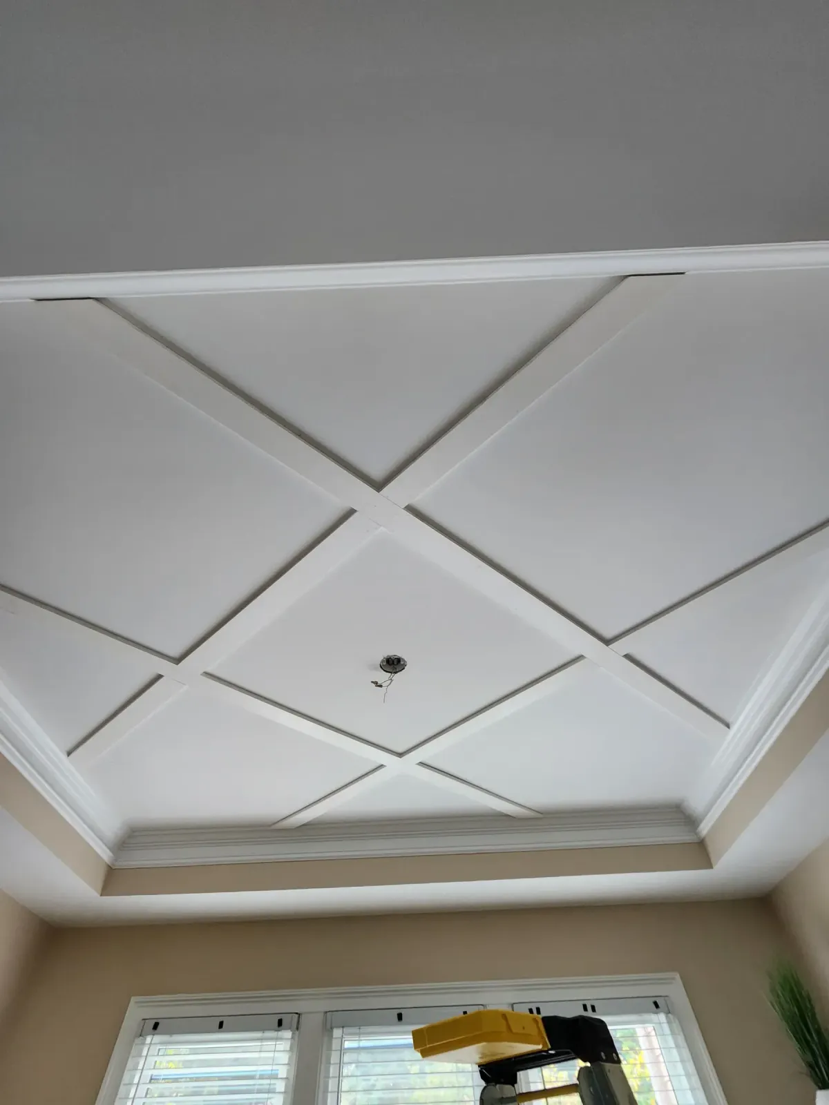 Diamond pattern coffered ceiling with crown moulding