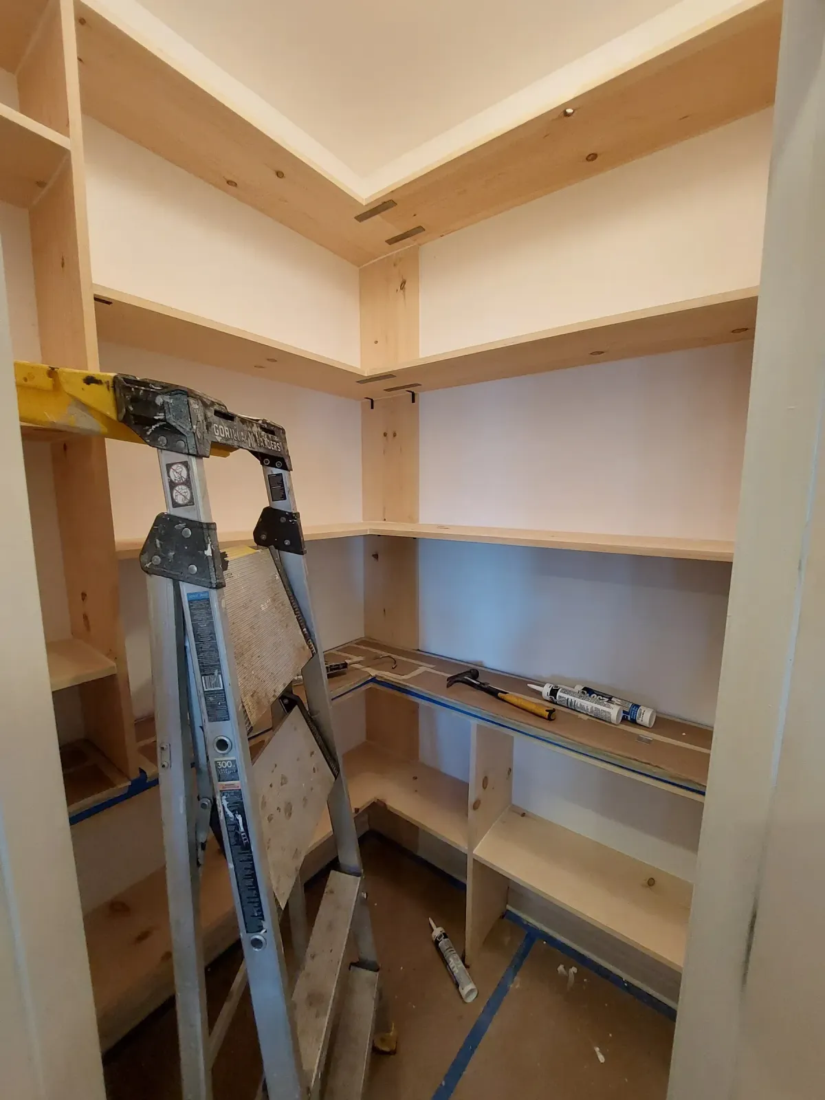 Custom pantry mid-build with unfinished plywood carcass and shelving