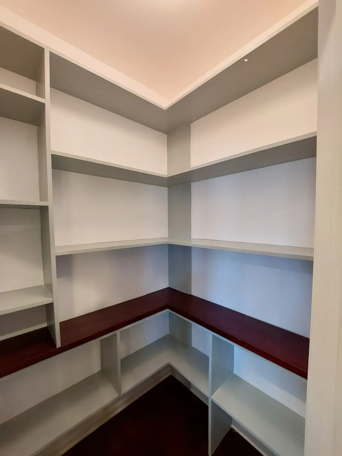 Finished custom pantry with painted shelving and stained wood counter