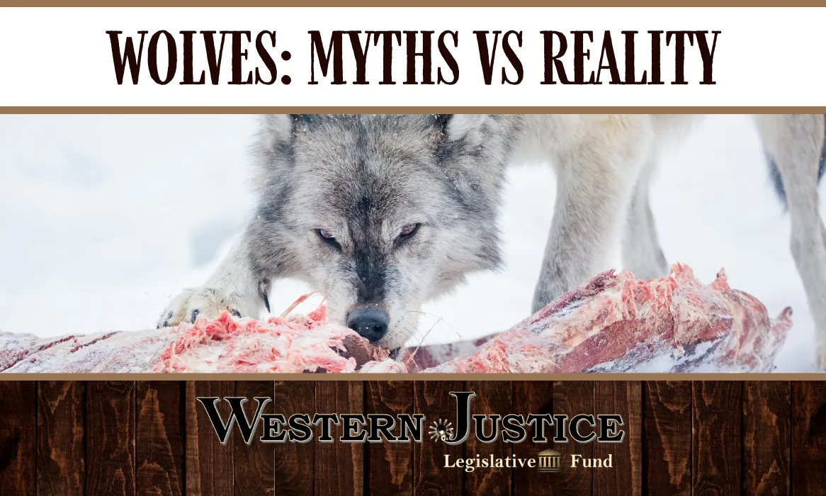 Wolves:  Myths vs Reality