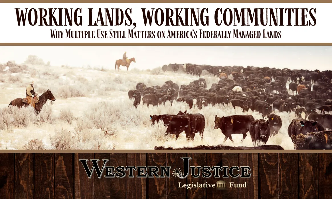 Working Lands, Working Communities: Why Multiple Use Still Matters on America’s Federally Managed Lands