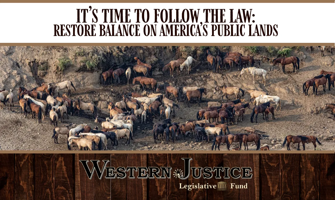 It’s Time to Follow the Law: Restore Balance on America’s Public Lands