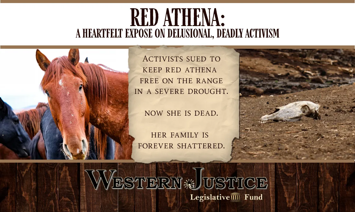 RED ATHENA: A Heartfelt Exposé On Delusional, Deadly Activism