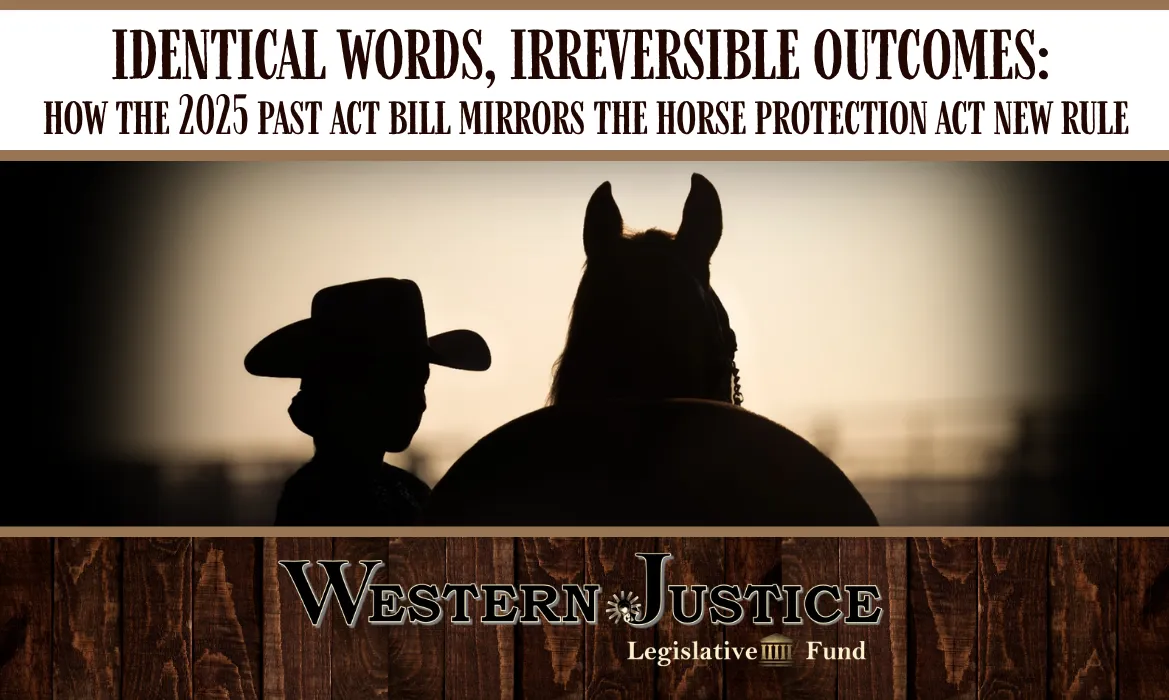 How the 2025 PAST Act Bill Mirrors the Horse Protection Act New Rule 