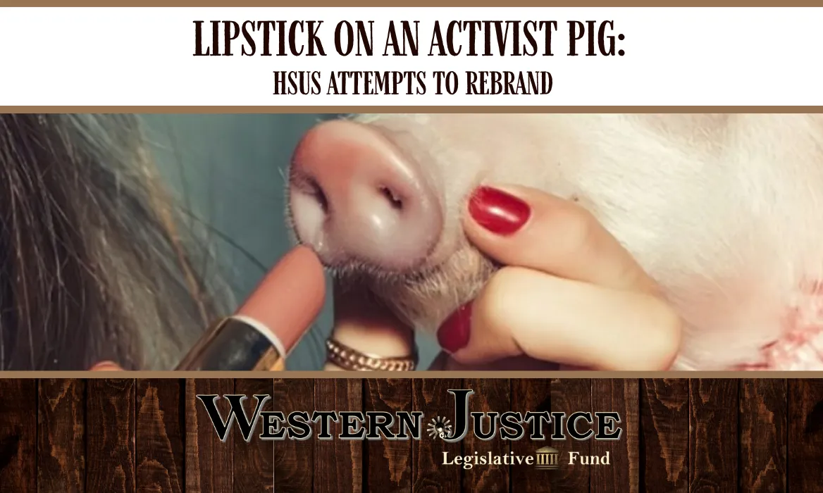 Lipstick on an Activist Pig:  HSUS Attempts to Rebrand
