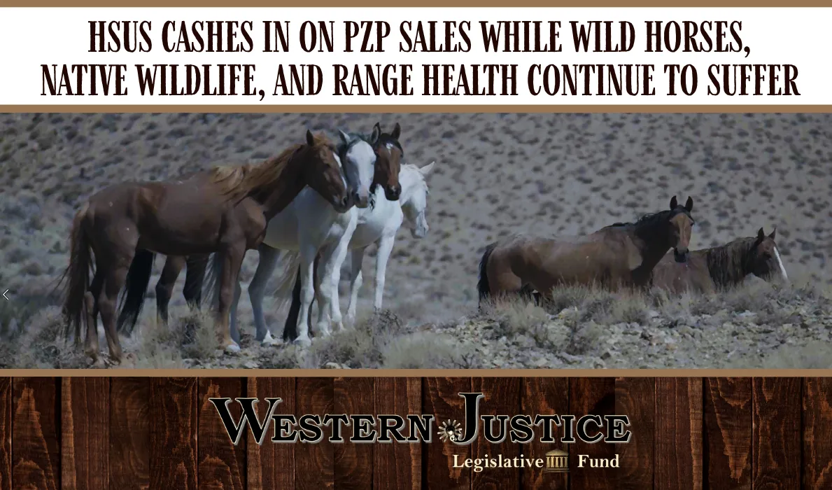 HSUS Cashes In On PZP Sales While Wild Horses, Native Wildlife and Range Health Continue To Suffer