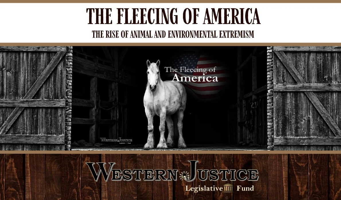 The Fleecing of America