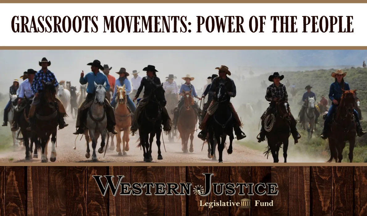 Grassroots Movements  - Power of the People