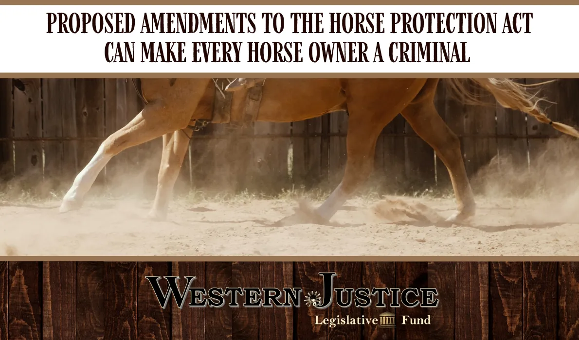 Proposed Amendments to the Horse Protection Act Can Make Every Horse Owner a Criminal