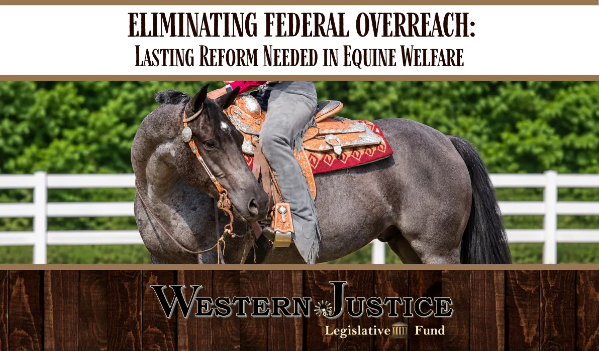 Eliminating Federal Overreach: Lasting Reform Needed in Equine Welfare 
