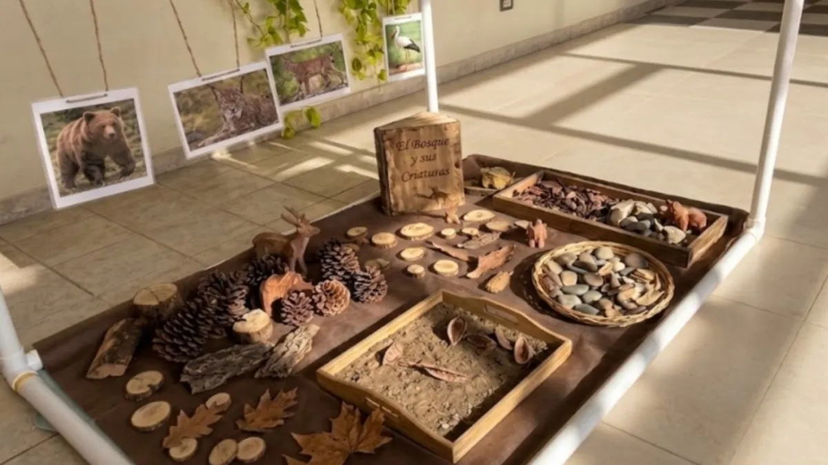 Niños jugando con elementos de la naturaleza