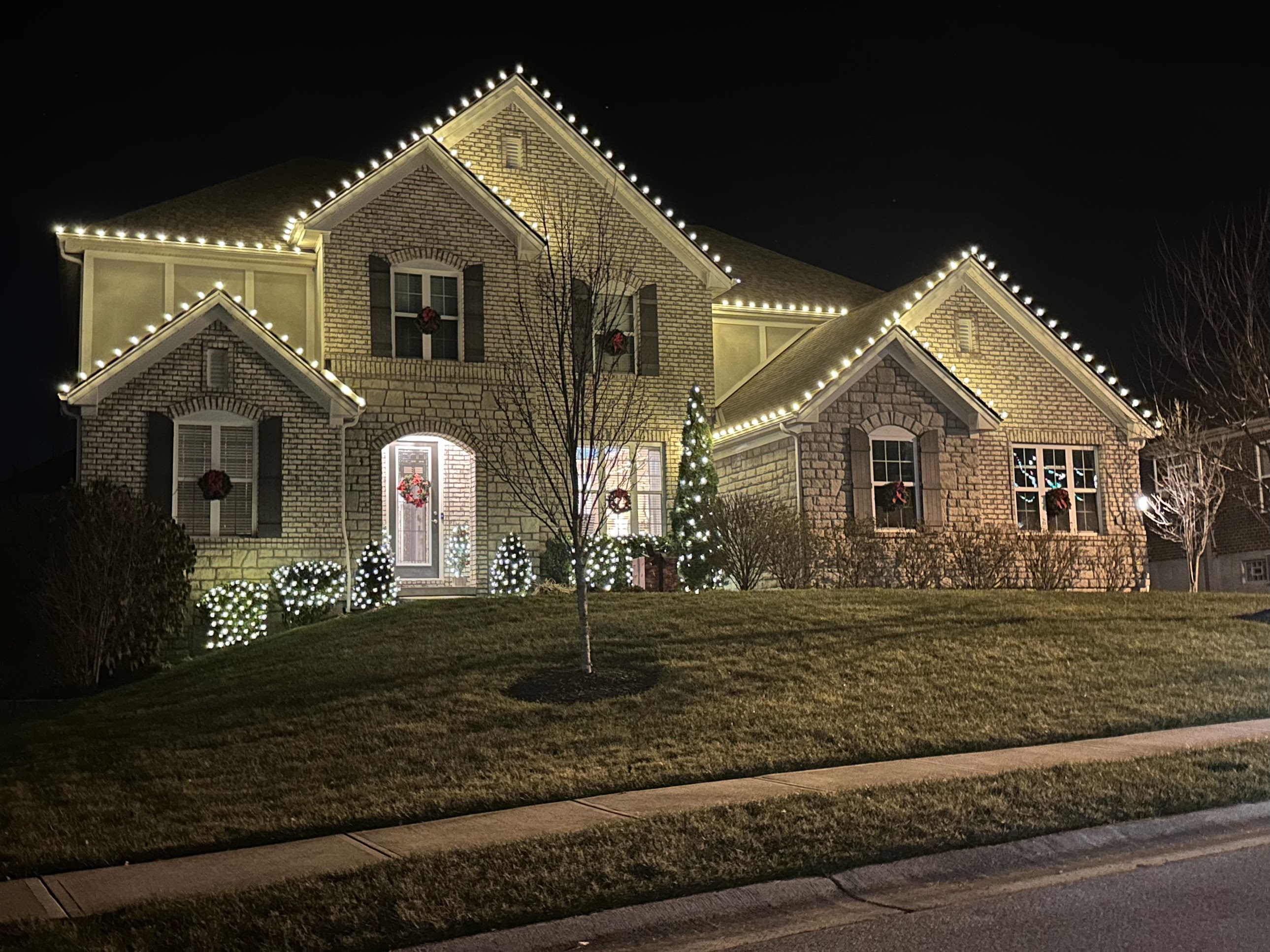 Brothers Holiday Lights Minneapolis MN