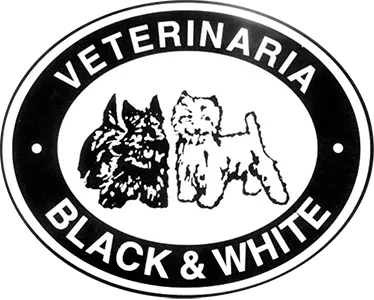 Pet Grooming