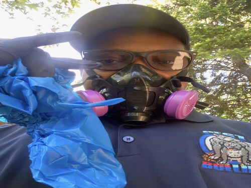 Pest Control Dolton, IL