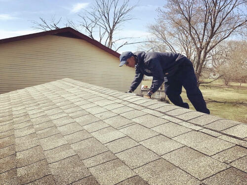 Rodent Abatement Dolton, IL