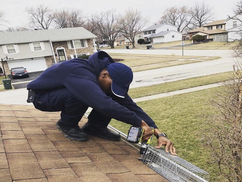 Bed Bug Treatments Dolton, IL