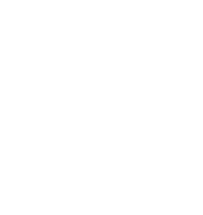 VIP Lead Concierge