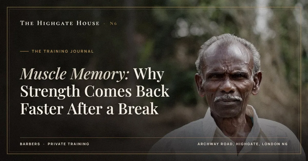 Muscle Memory: Why Strength Comes Back Faster After a Break - The Training Journal, The Highgate House, Highgate N6