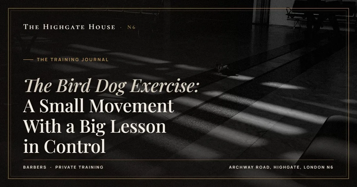 The Bird Dog Exercise: A Small Movement With a Big Lesson in Control - The Training Journal, The Highgate House, Highgate N6