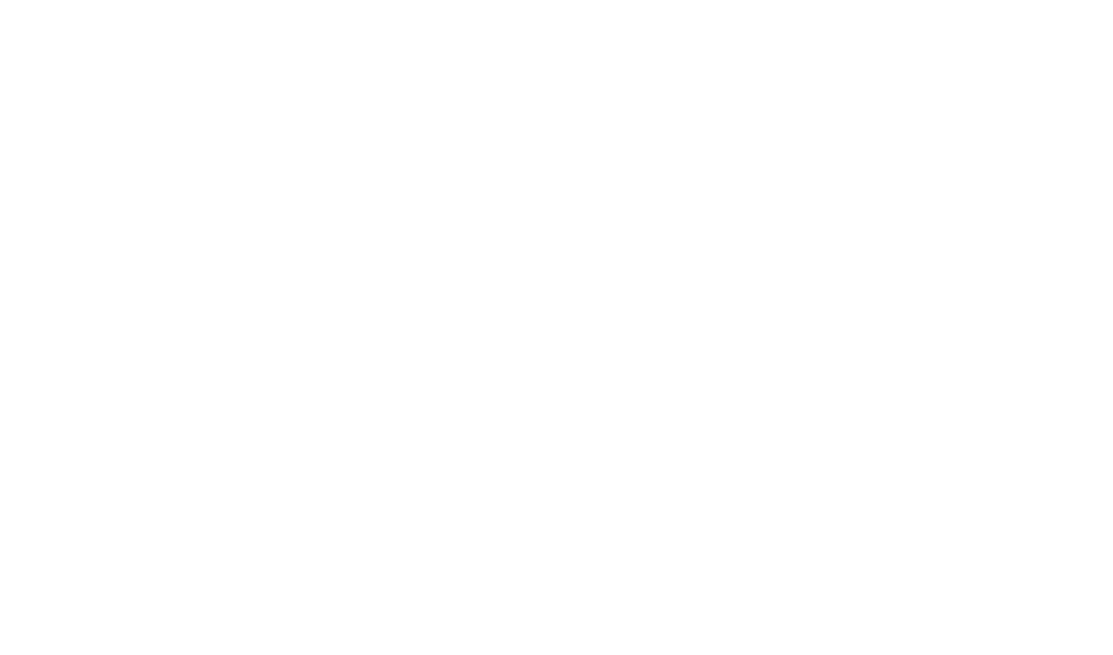 Logo Lyn Sales