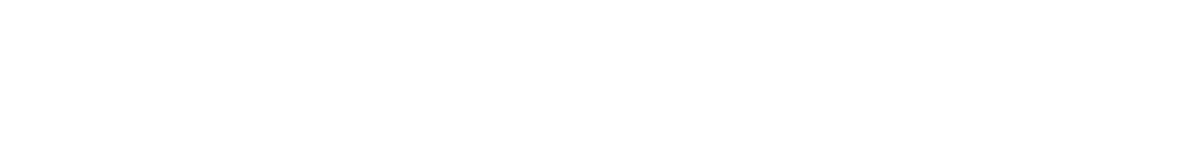 Logo Lyn Sales