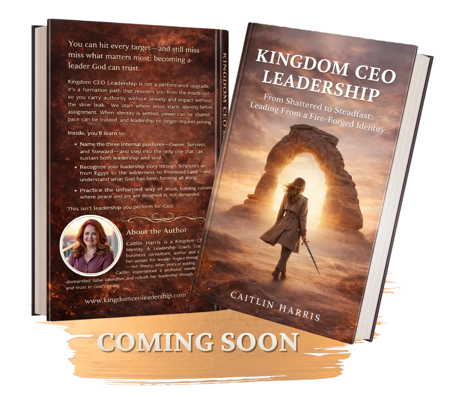 Desert arch at sunrise; a leader stands facing the light. Text: Kingdom CEO Leadership—From Shattered to Steadfast; Coming February 2026.