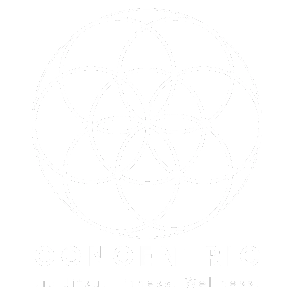 San Diego Concentric Fit | Mira Mesa | Sorrento Valley | Fitness and Jiu Jitsu