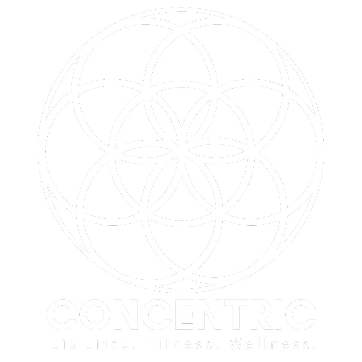 San Diego Concentric Fit | Mira Mesa | Sorrento Valley | Fitness and Jiu Jitsu