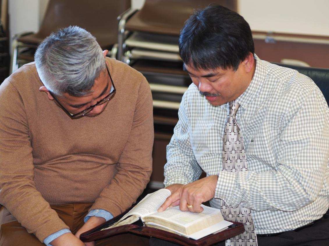 A white church with a tall spire surrounded by trees.