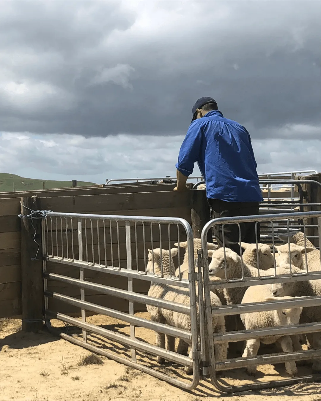 Stock and land management services for lifestyle blocks and rural properties across Wairarapa