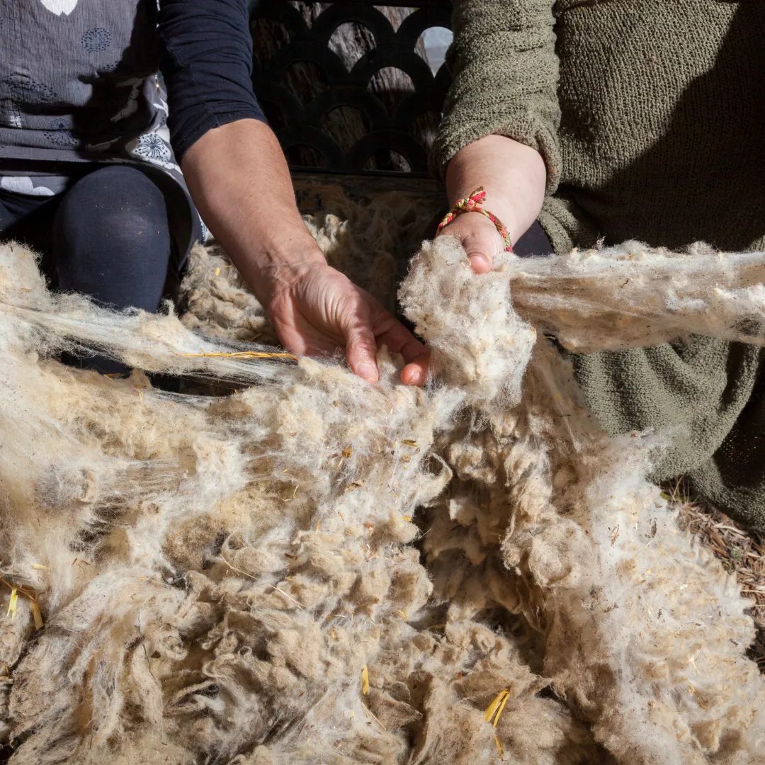 Wool preparation and sorting Invercargill