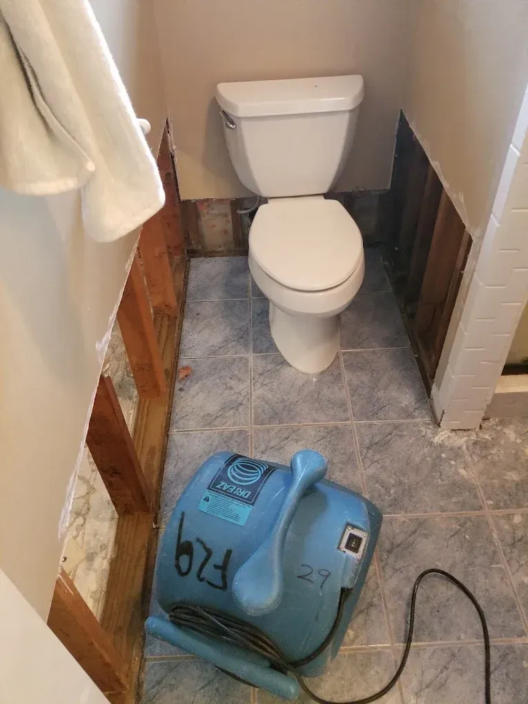 Clearwater Water Cleanup
