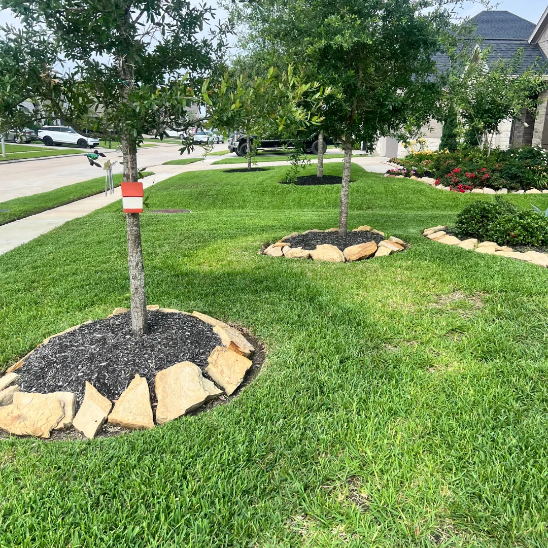 Lawn Care in Cypress TX