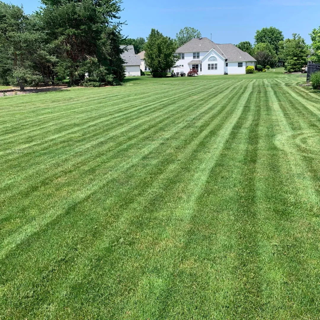 lawn care Westlake OH, landscape maintenance Westlake, lawn mowing services Ohio, commercial lawn care Westlake, residential lawn care Ohio, property maintenance Westlake, landscaping maintenance near me