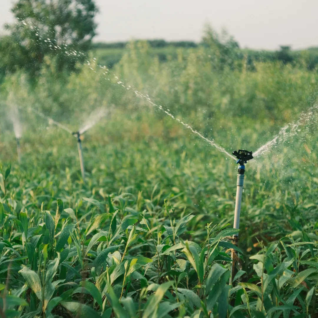 irrigation services Westlake OH, sprinkler system installation Ohio, irrigation repair Westlake, commercial irrigation Ohio, residential irrigation Westlake, sprinkler repair Ohio, irrigation maintenance Westlake
